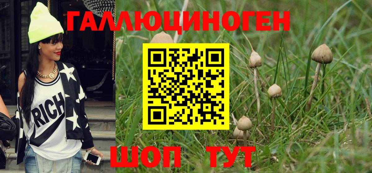 Псилоцибиновые грибы MAGIC MUSHROOMS Донской