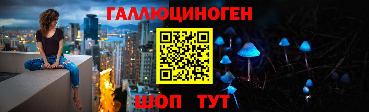Галлюциногенные грибы Cubensis  Псилоцибиновые грибы прущие грибы  Вход с VPN  Донской 